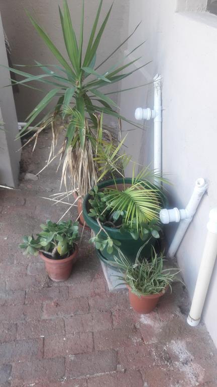 Self-Catering Studio, Unit 6 On Krupp Windhoek Luaran gambar